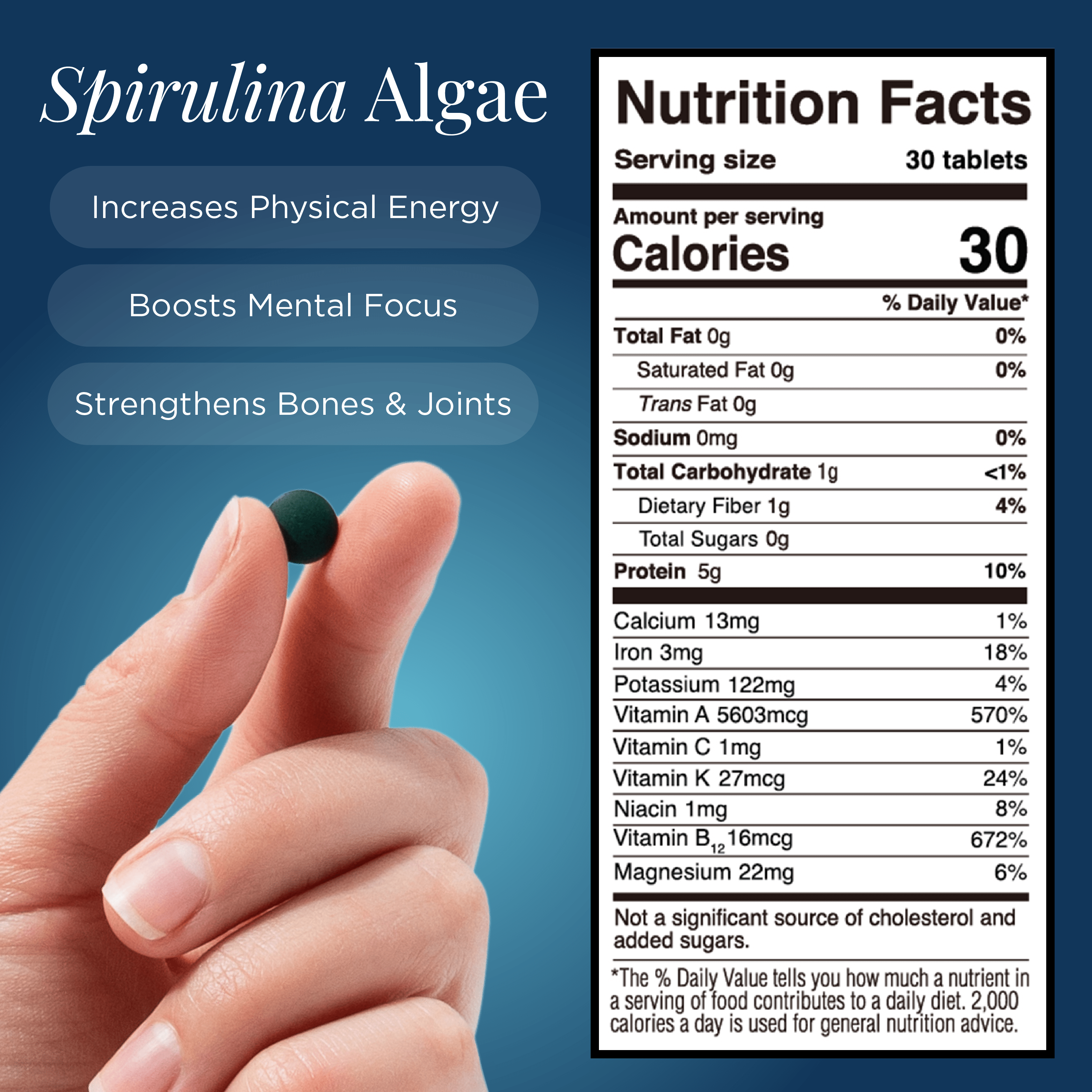 ENERGYbits® Spirulina | Large Bag